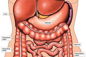 colon-hydro-therapy-new1